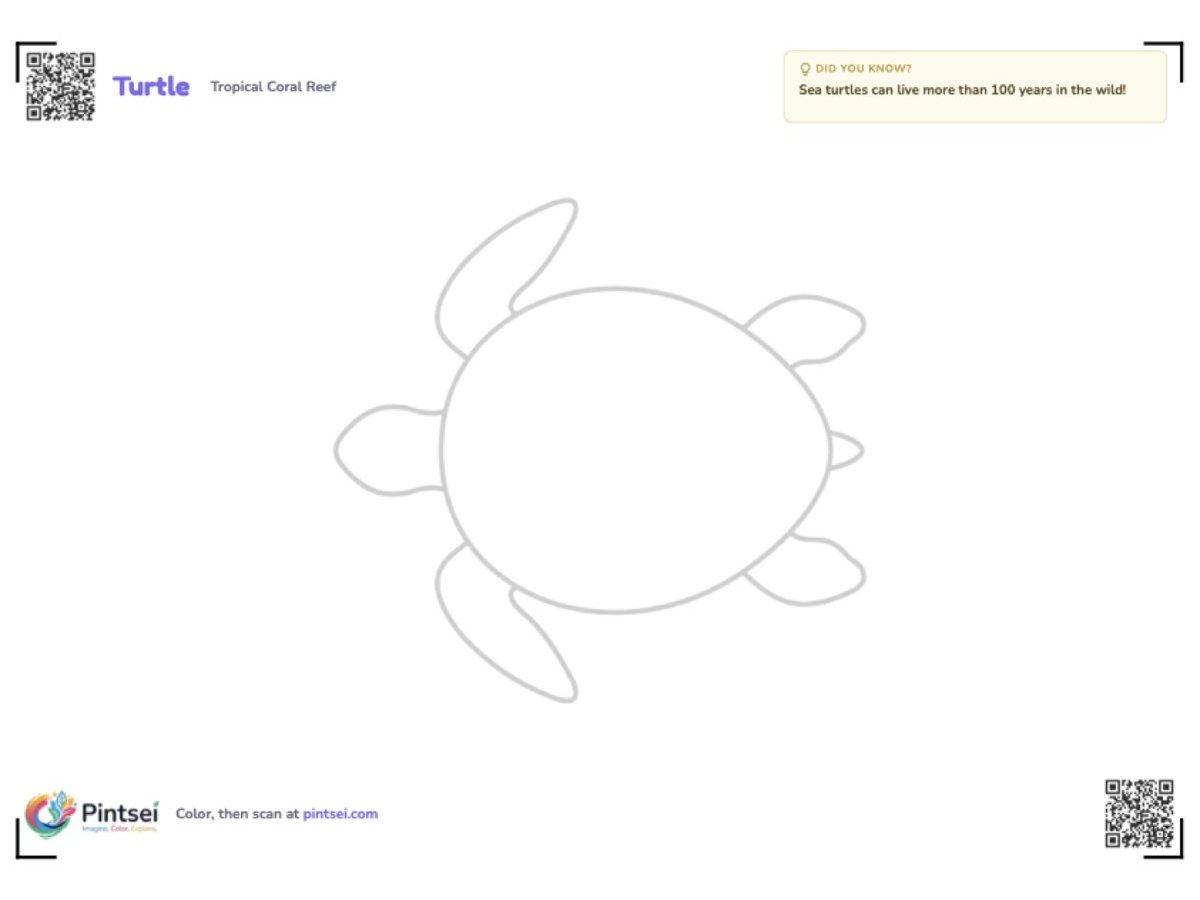 The printable page: sea turtle outline with QR corner markers, a fun fact box, and Pintsei footer